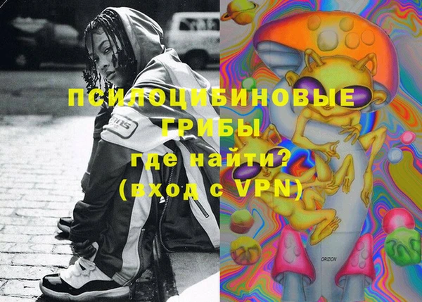 ГАЛЛЮЦИНОГЕННЫЕ ГРИБЫ Алексеевка