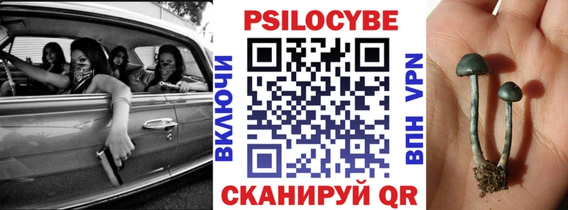 цена   Беломорск  гидра рабочий сайт  Галлюциногенные грибы Psilocybe 